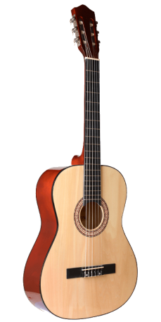 גיטרה קלאסית SALVADORY G1 4/4 כולל נרתיק 